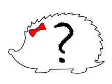 Load image into Gallery viewer, 0/3m-3T Mystery items
